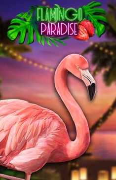 FLAMINGO PARADISE