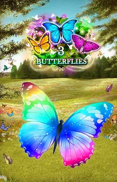 3 Butterflies